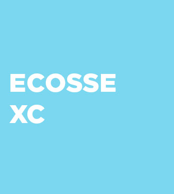 Dynamic Content Image